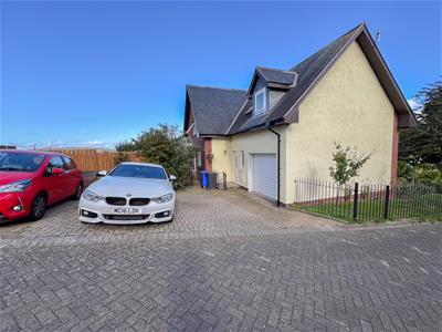 Picture 20